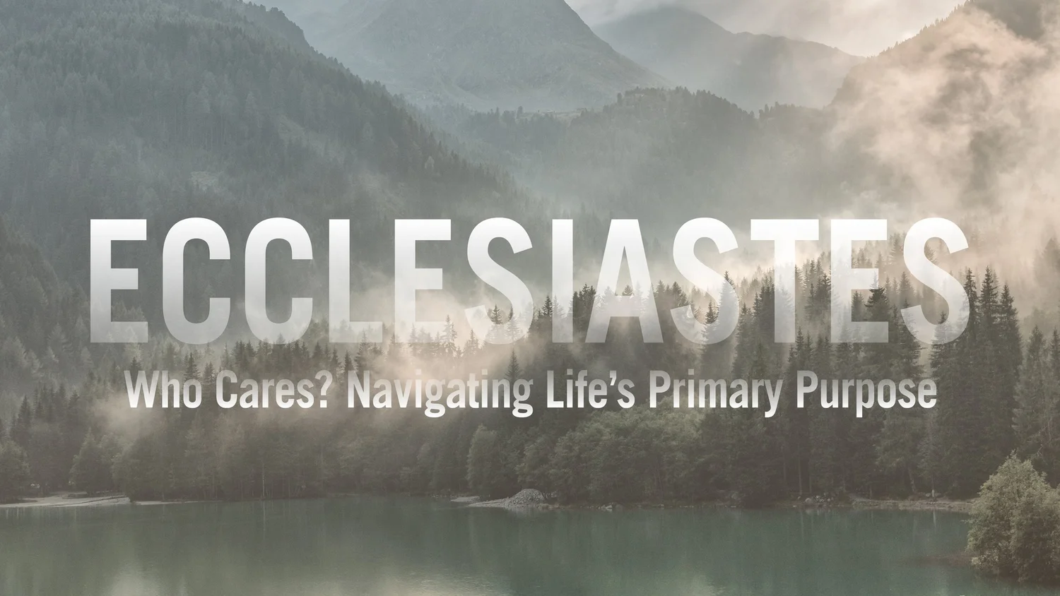 Book of Ecclesiastes | Wk 33 | The Value of Diligence