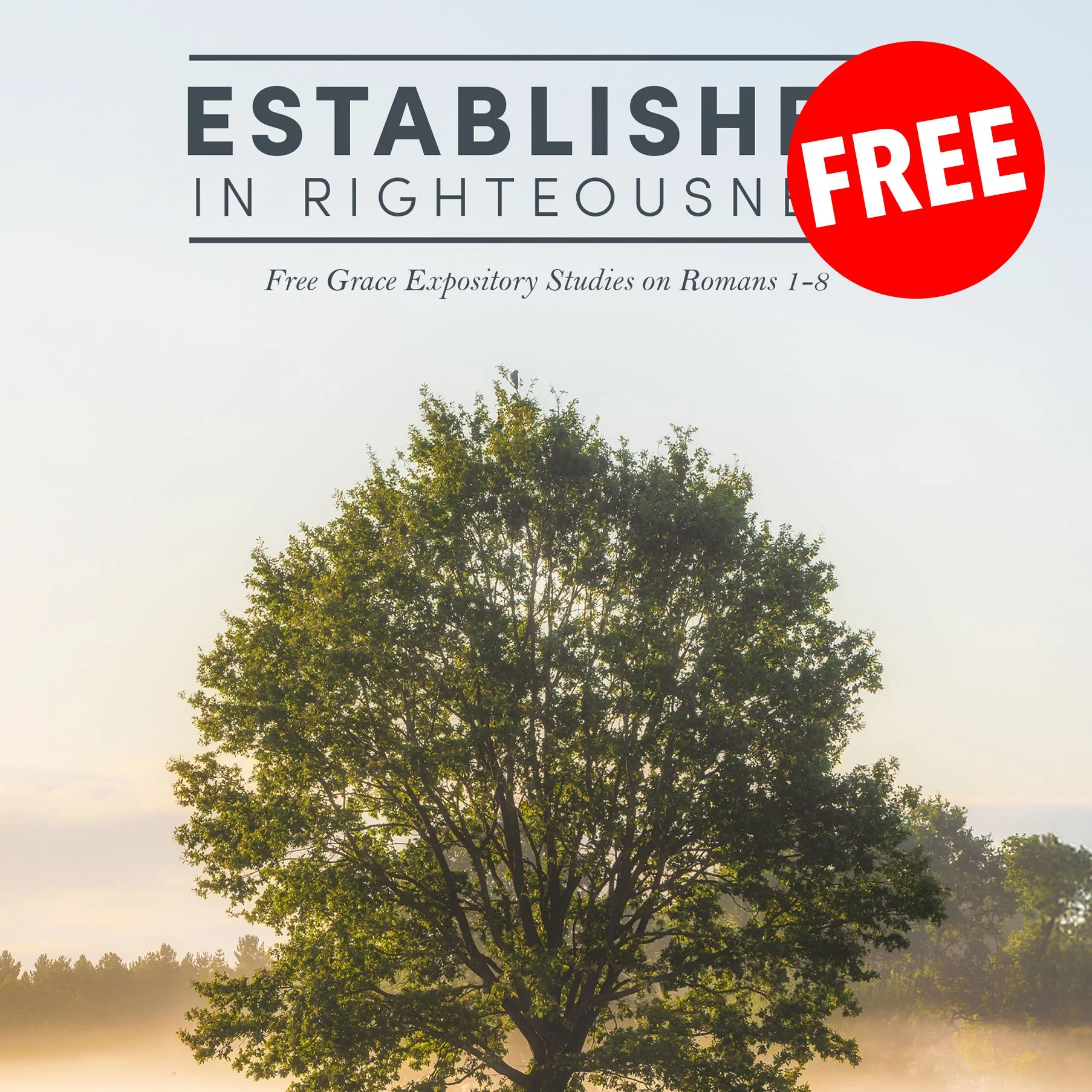 Established In Righteousness: Romans 1-8