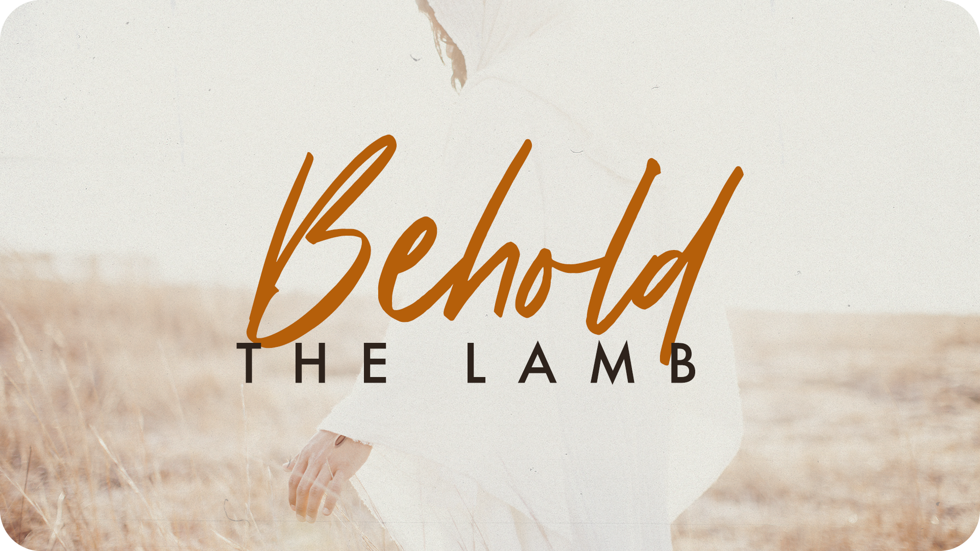Behold The Lamb_PProunded.png