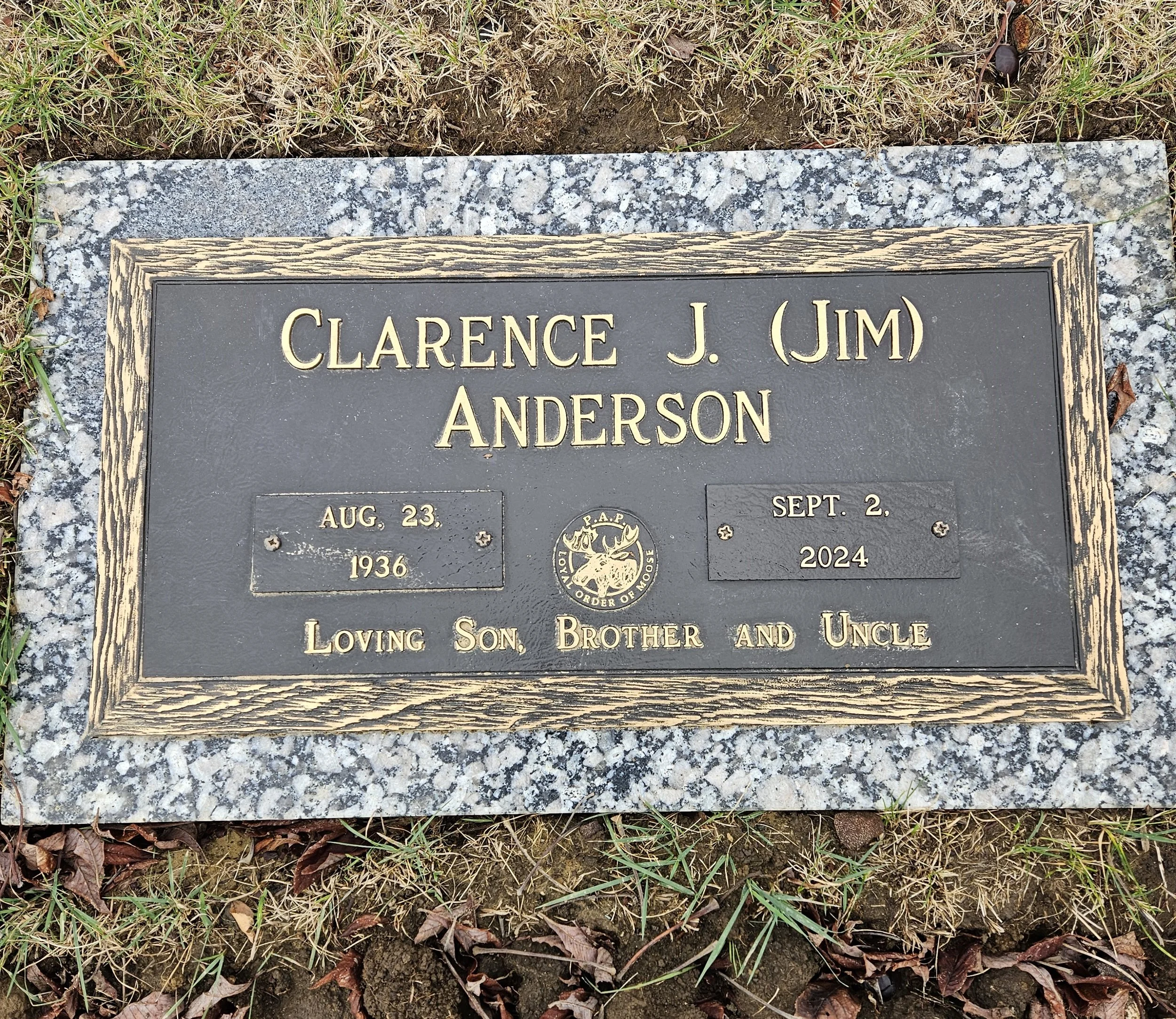 ANDERSON-DATE.jpg
