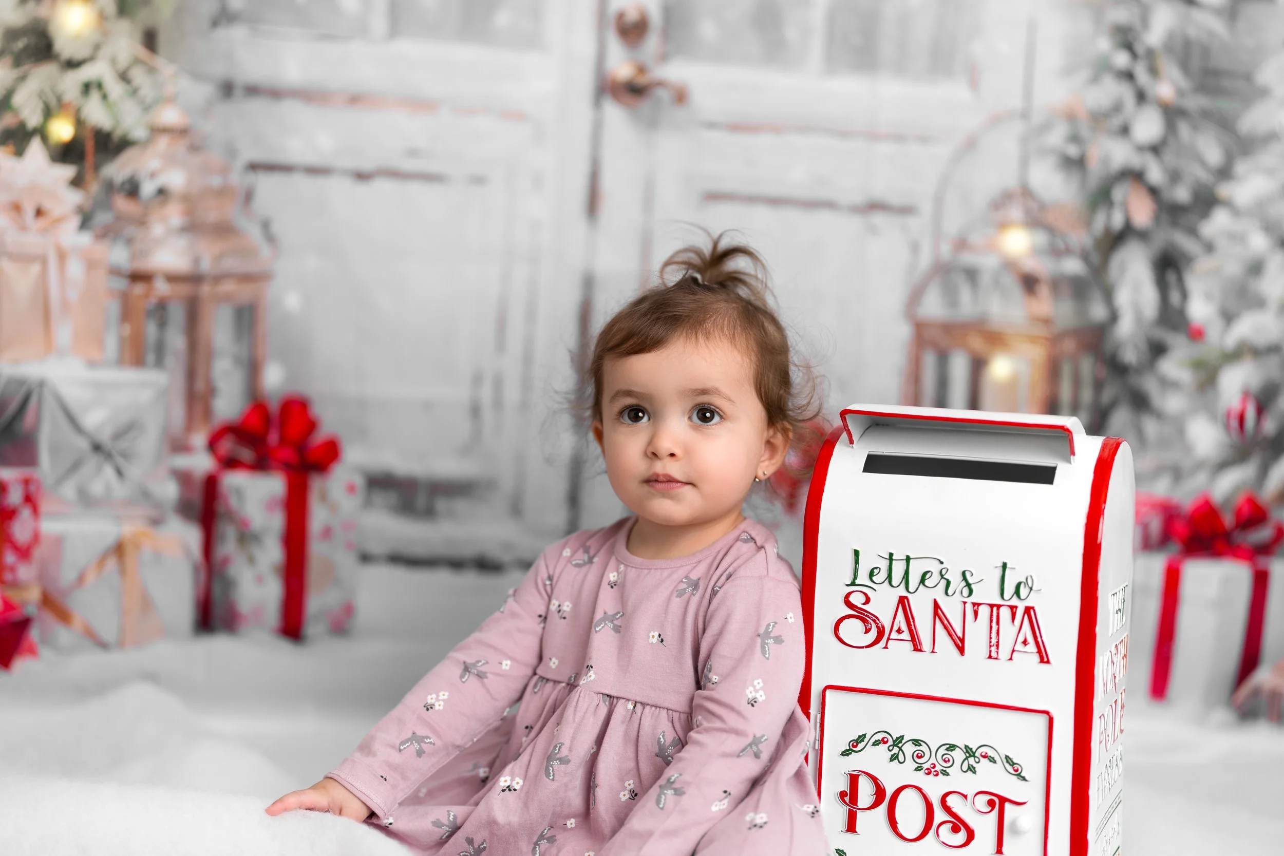 CHRISTMAS MINI SESSIONs 2023