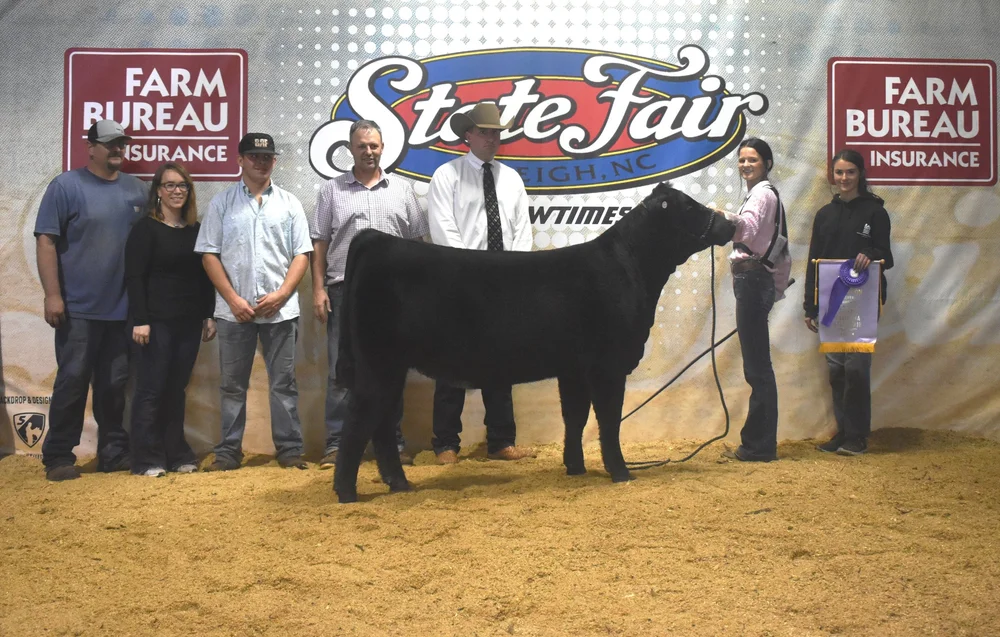 Reserve Champion Simmental Heifer