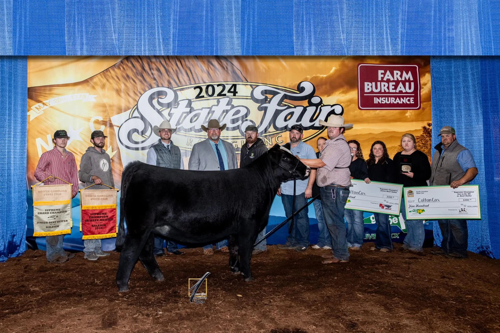 Grand Champion Simmental Heifer & Supreme Overall