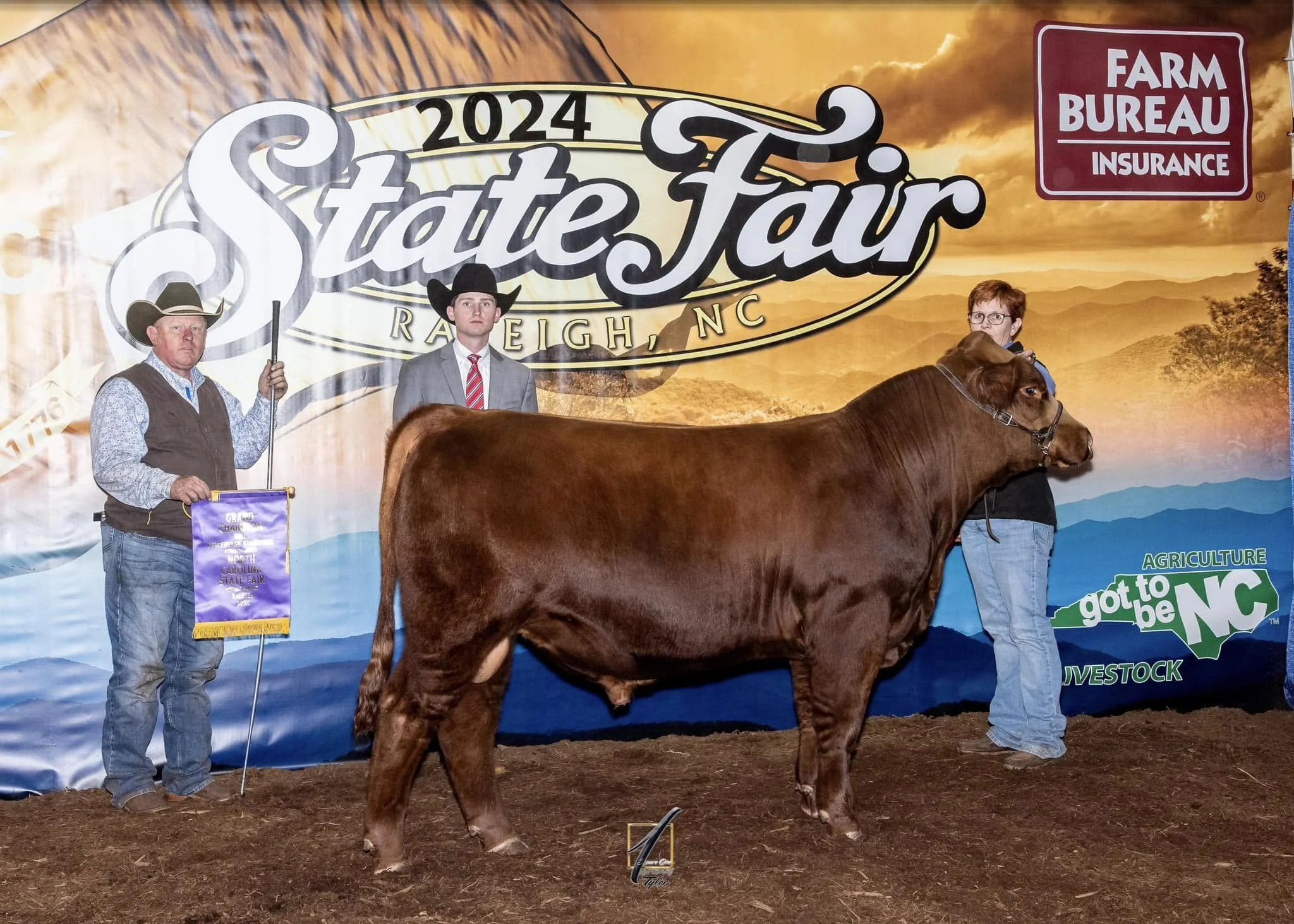 Grand Champion % Simmental Bull