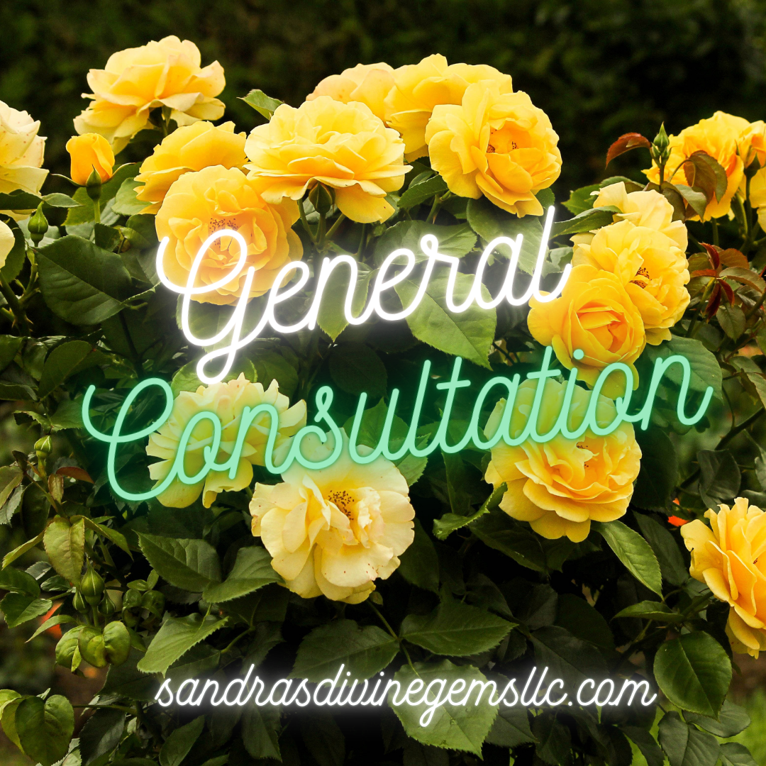 General Consultation