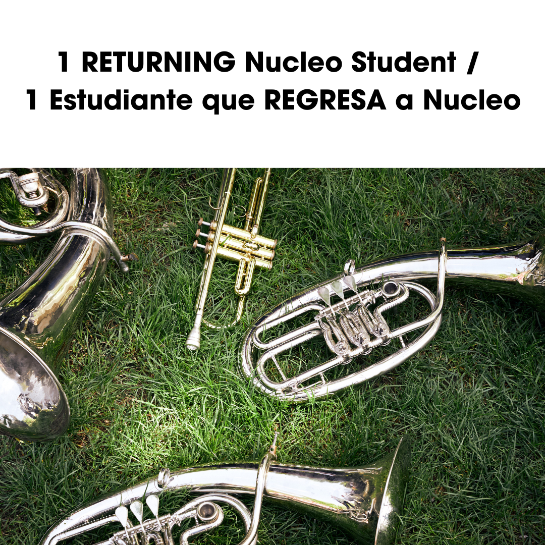 Returning Nucleo.png