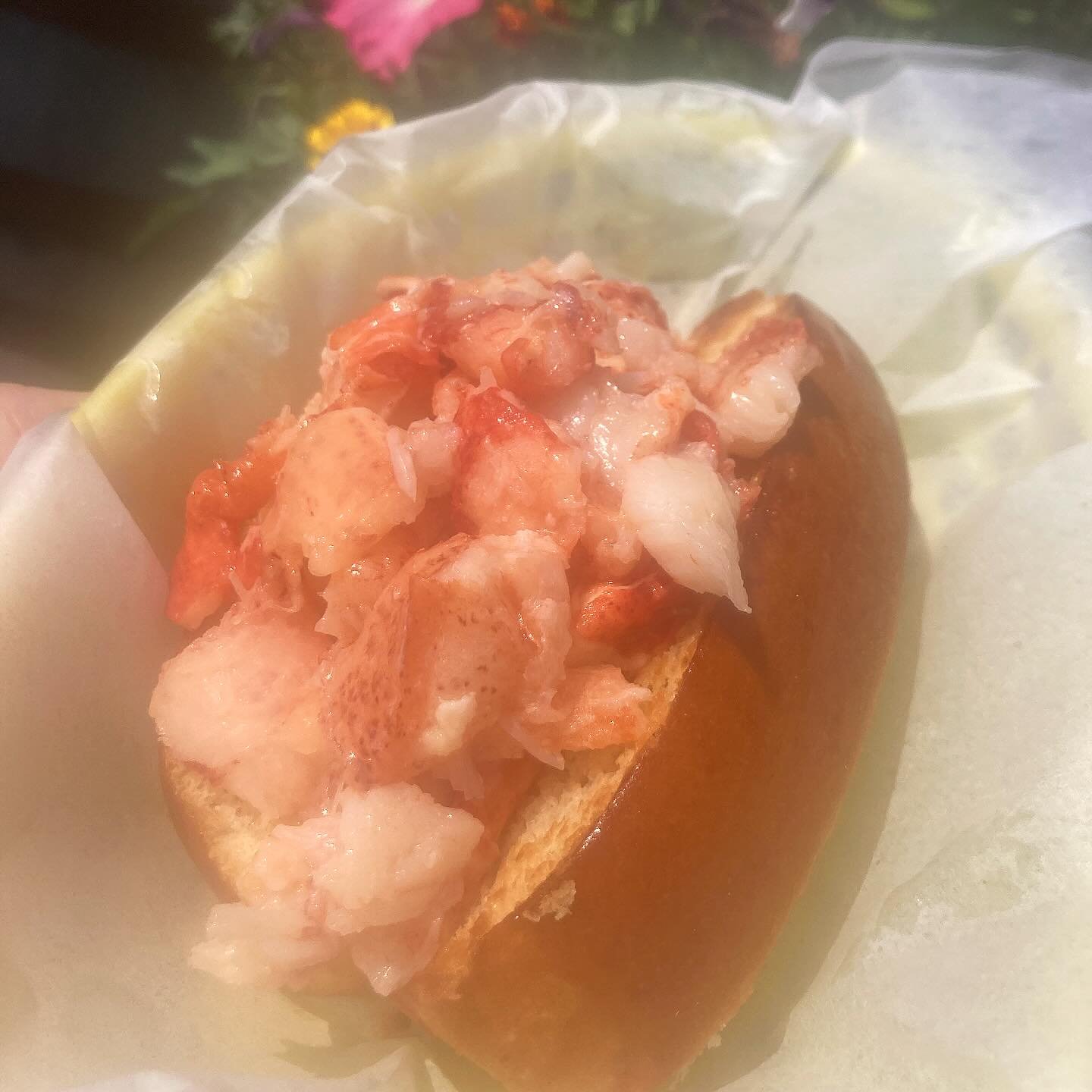 🦞Special🦞
It wouldn’t be the 4th in Maine without lobster rolls! Mini lobster roll special this week!
Lobster topped with hot clarified butter on a grilled brioche roll 🌈
And yes we are open the 4th 🎇!
#207 #maineeats #mainelobster no