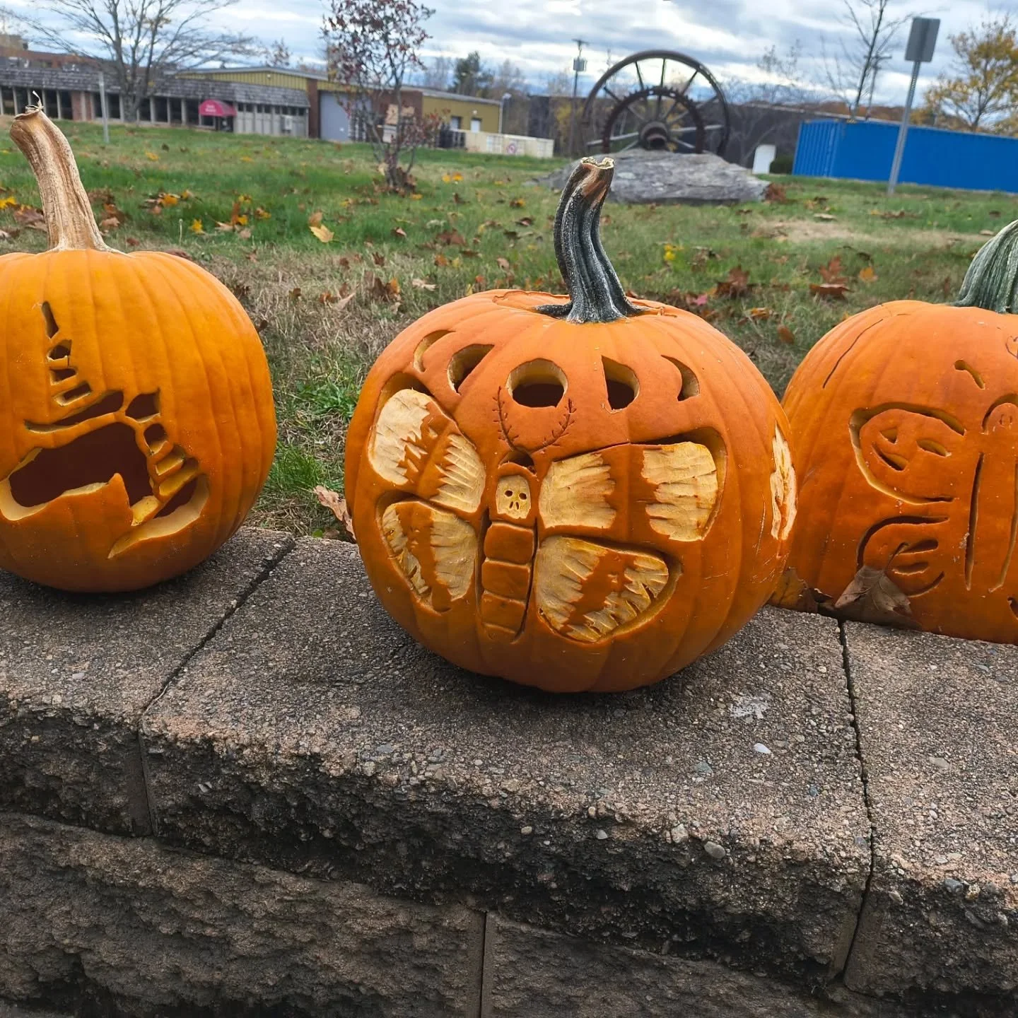 🎃So many amazing entries for the pumpkin contest!! 😍 
Thank you to all who participated! 

#207 #pumpkincarvingcontest