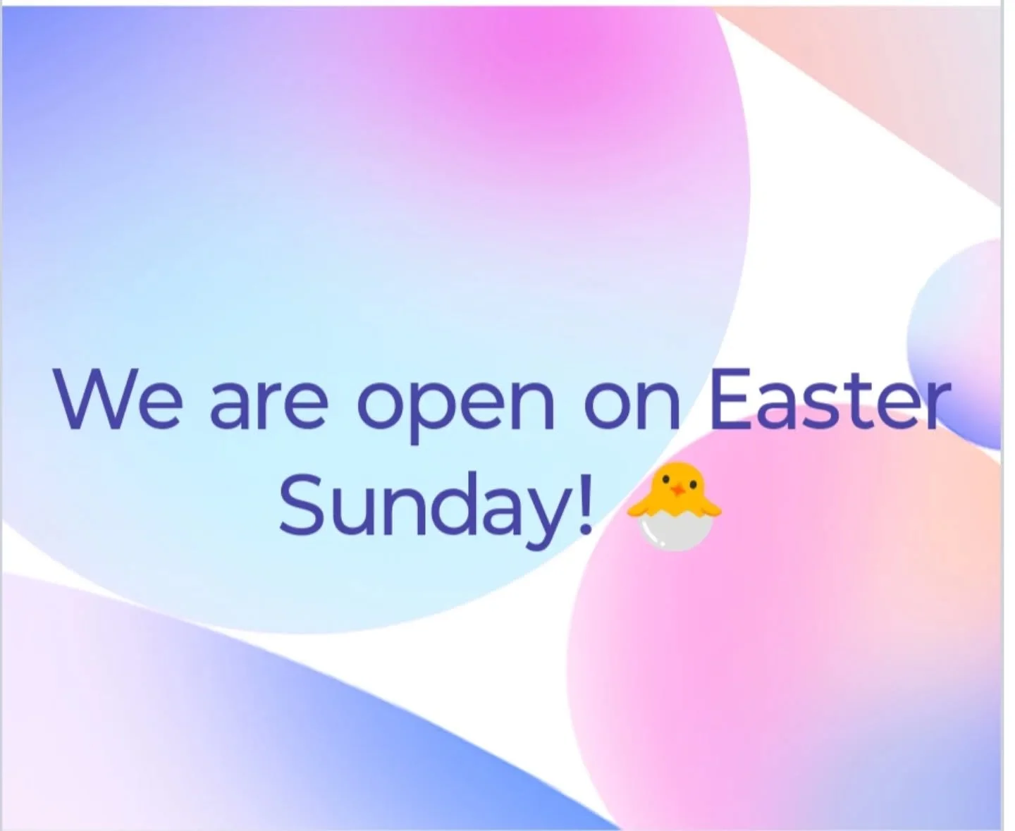 🐰 Come and see us 🐰