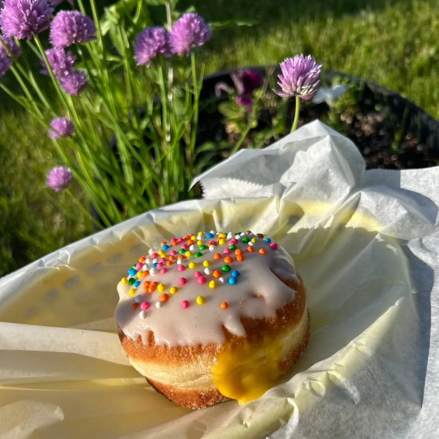 🌈 Our Pride donut is here!🌈 
Passion fruit curd filled donut topped with vanilla bean frosting and rainbow crunch &hearts;️ 
All of the proceeds from the purchase of this donut go to the @ecc_me 

#portlandpride #maineeats