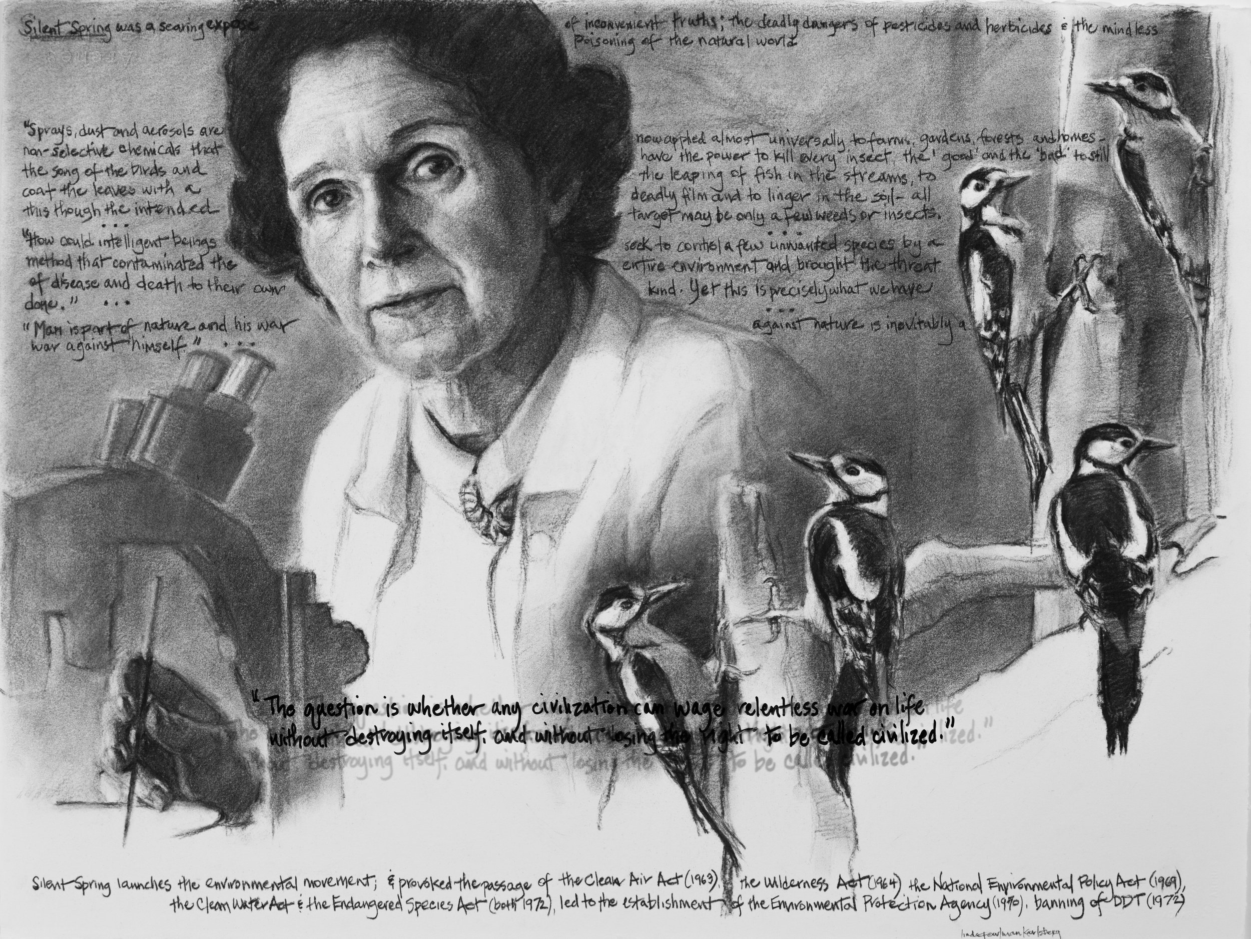 She Spoke Up X, Rachel Carson, charcoal on Arches paper, 22.5" x 30"