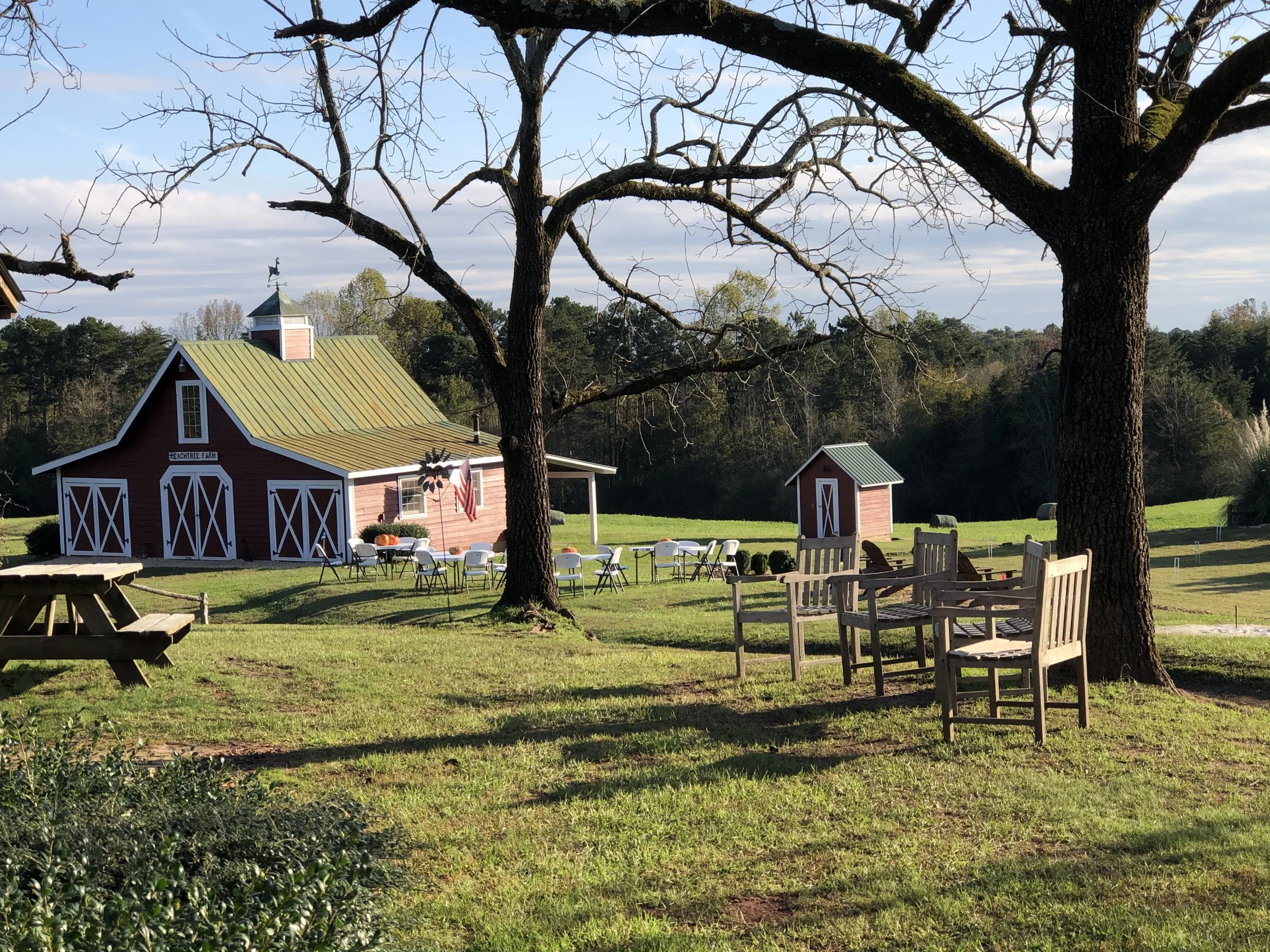 2020-10-31 17.07.43.jpg