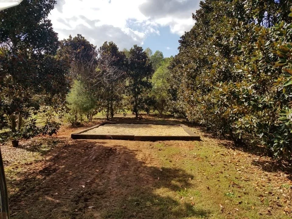 2020-10-22 19.24.05.jpg