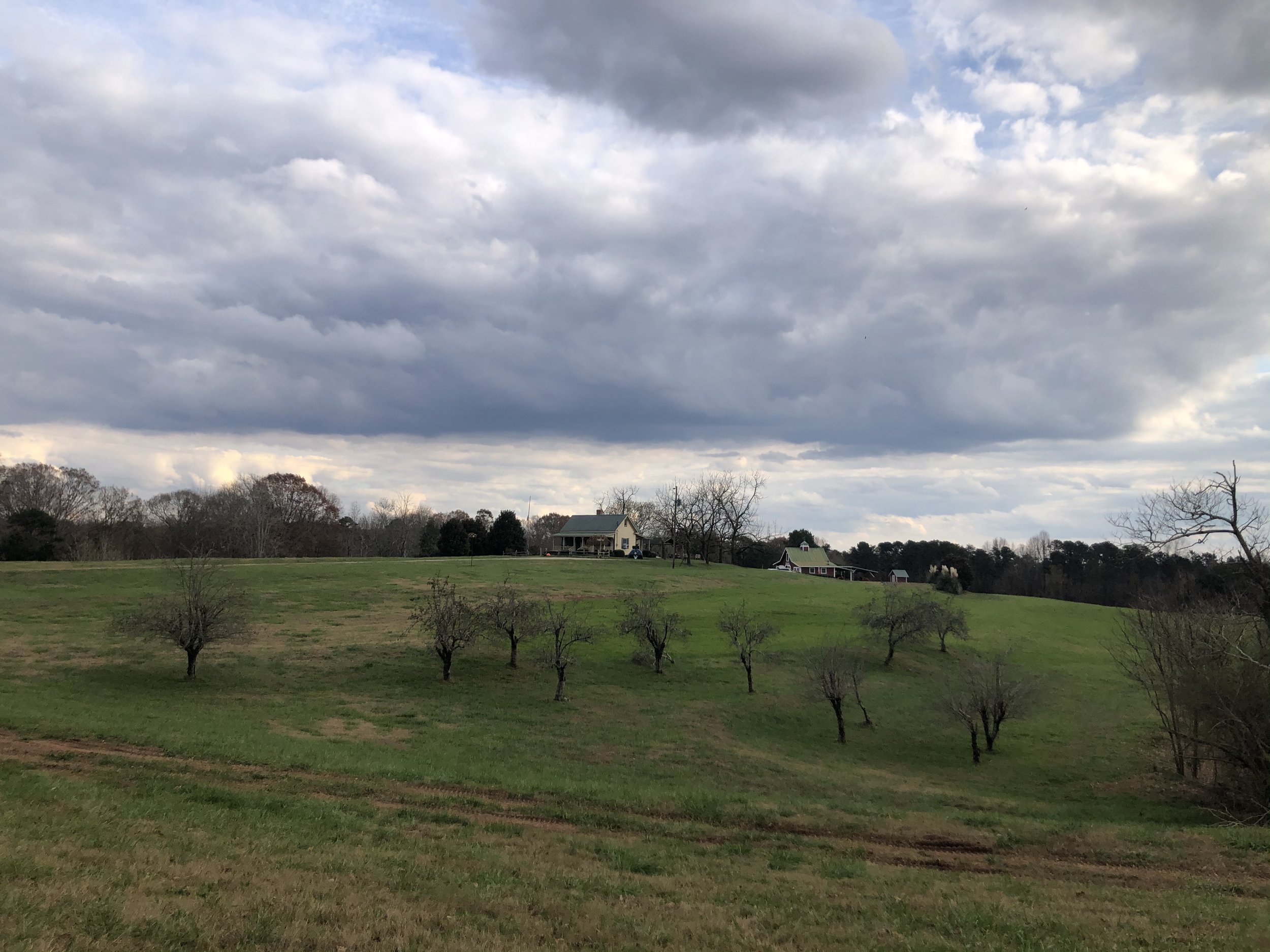 2020-11-22 15.18.57.jpg