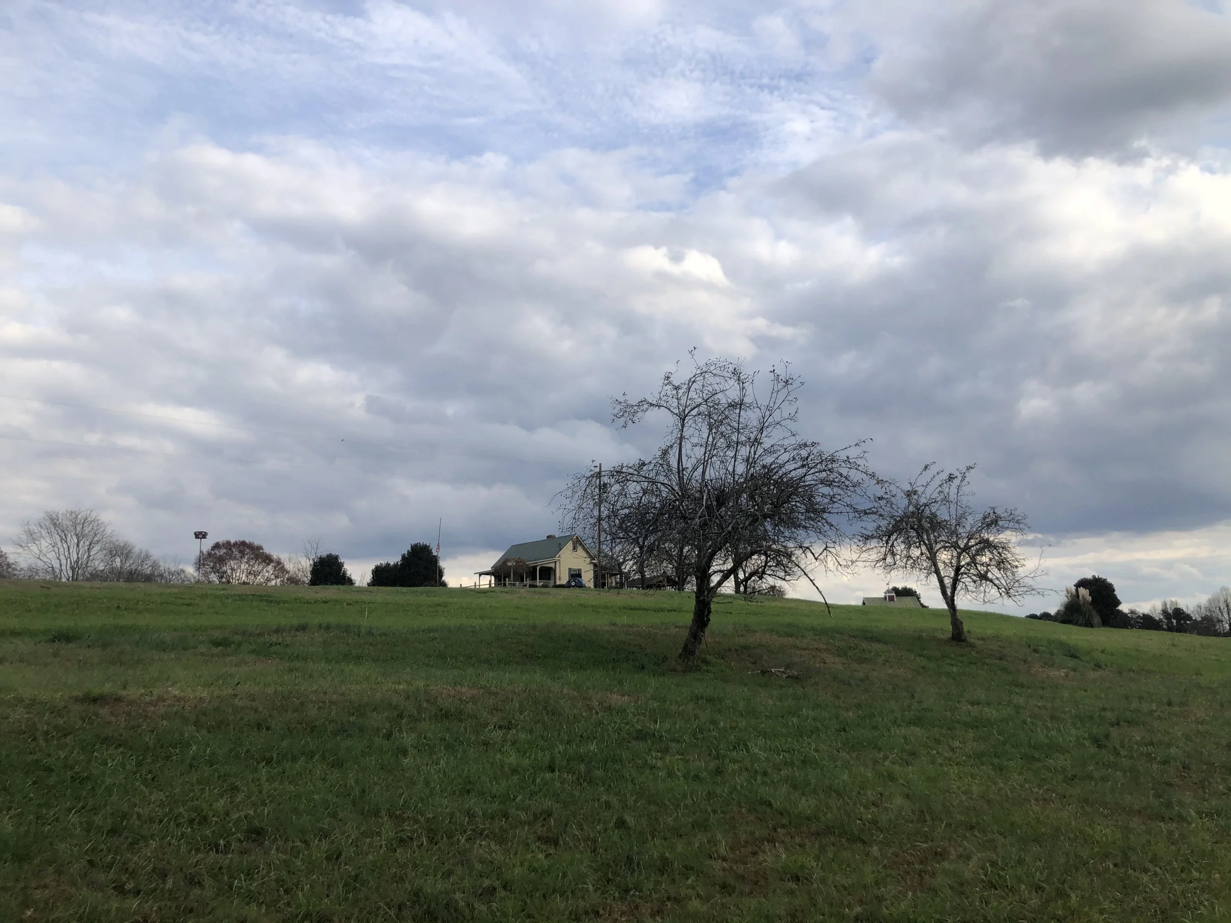 2020-11-22 15.16.52.jpg