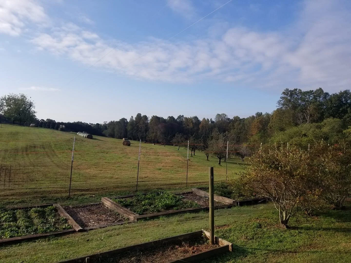 2020-10-19 10.46.55.jpg