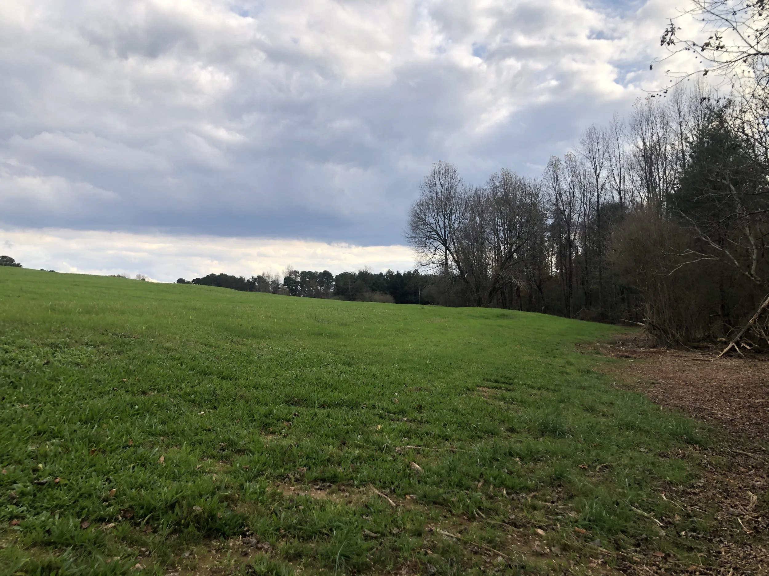 2020-11-22 15.13.13.jpg