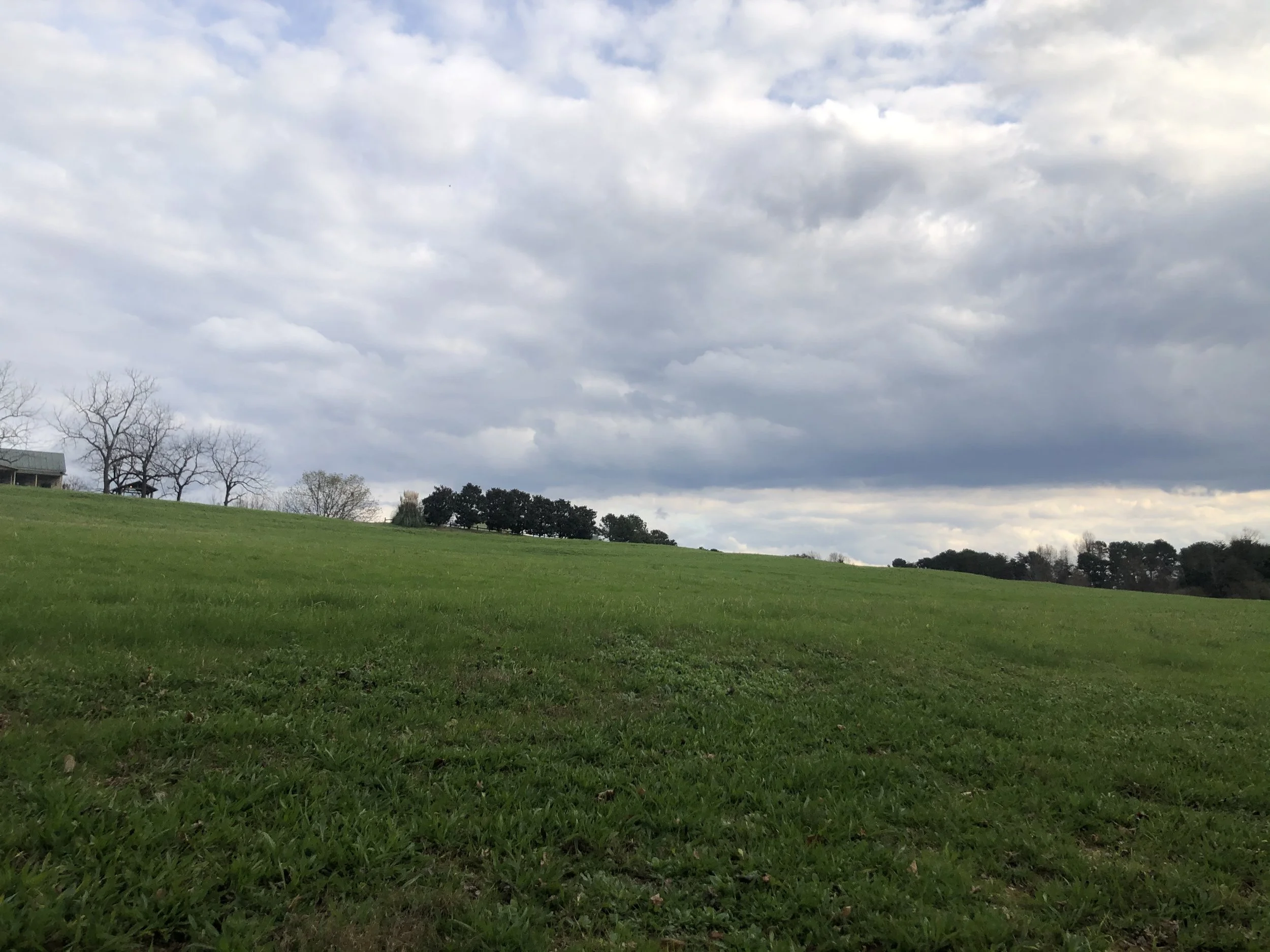 2020-11-22 15.13.07.jpg