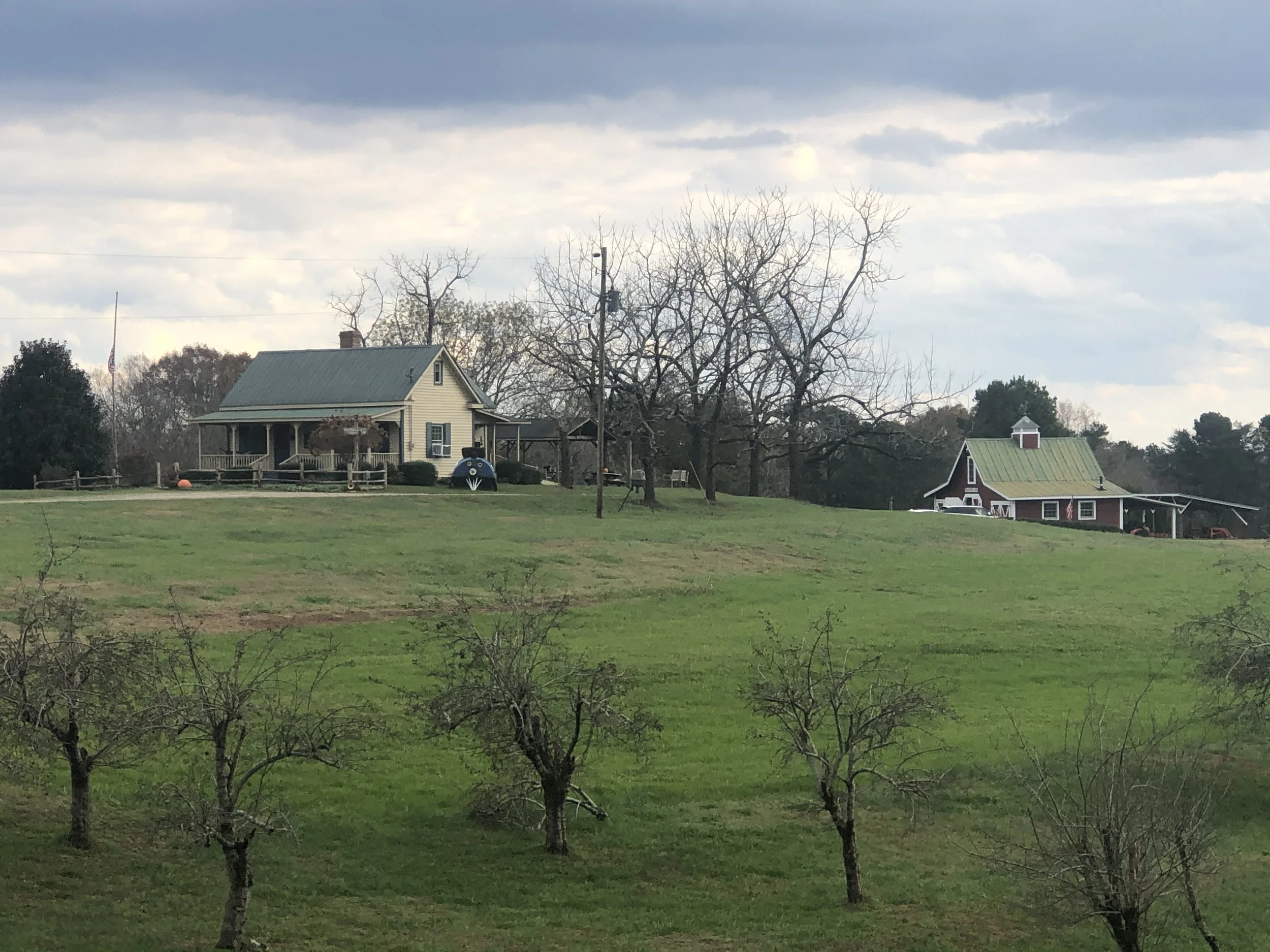 2020-11-22 15.19.11.jpg