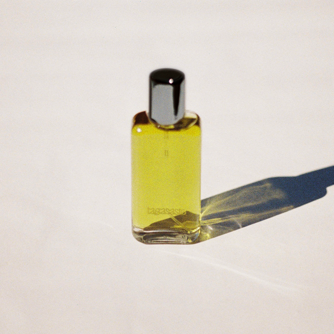 Tagasaste ‘II’ Fragrance