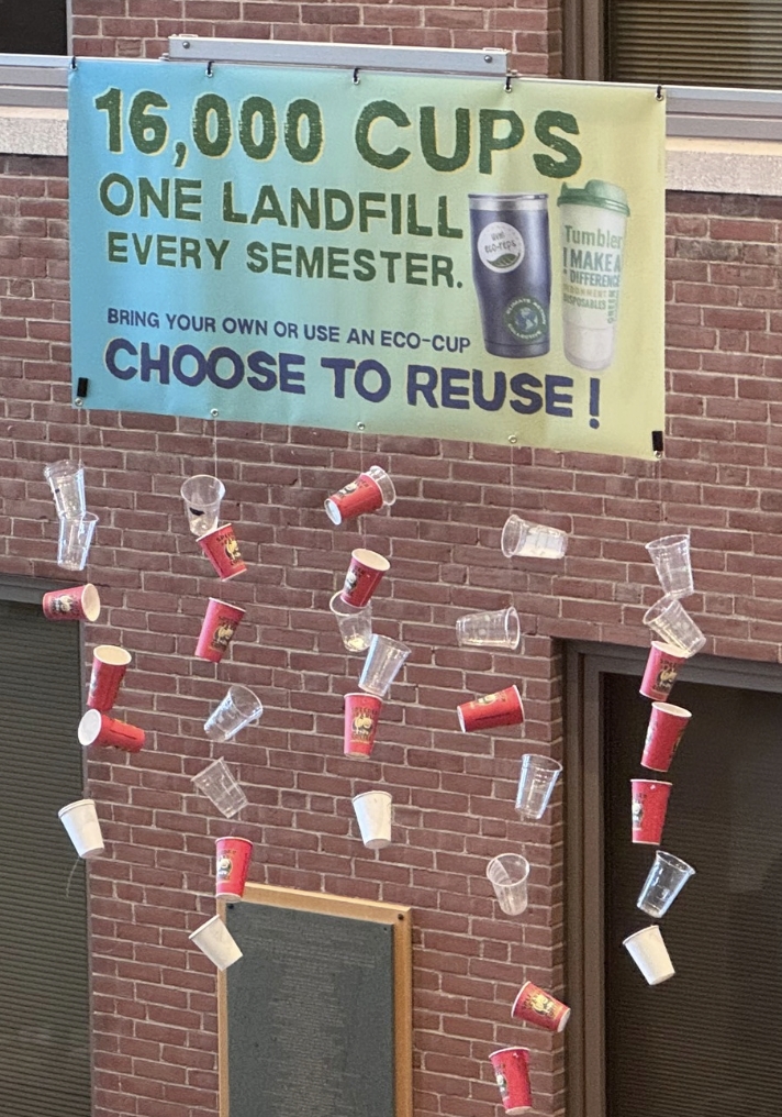 A display of single use cups hanging up to show the impact of single use plastics
