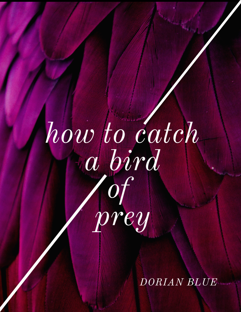 How to Catch a Bird of Prey (2027)