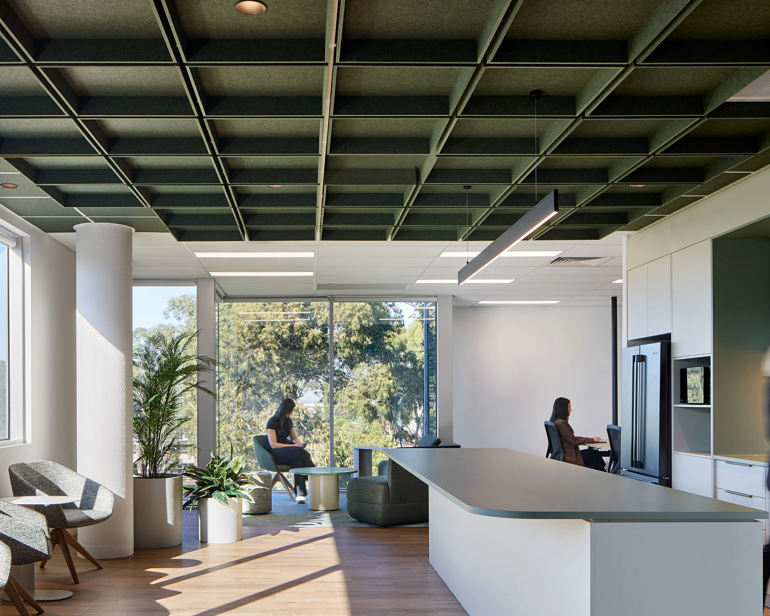 Biophilia in the Office: More Than Just Some Plants