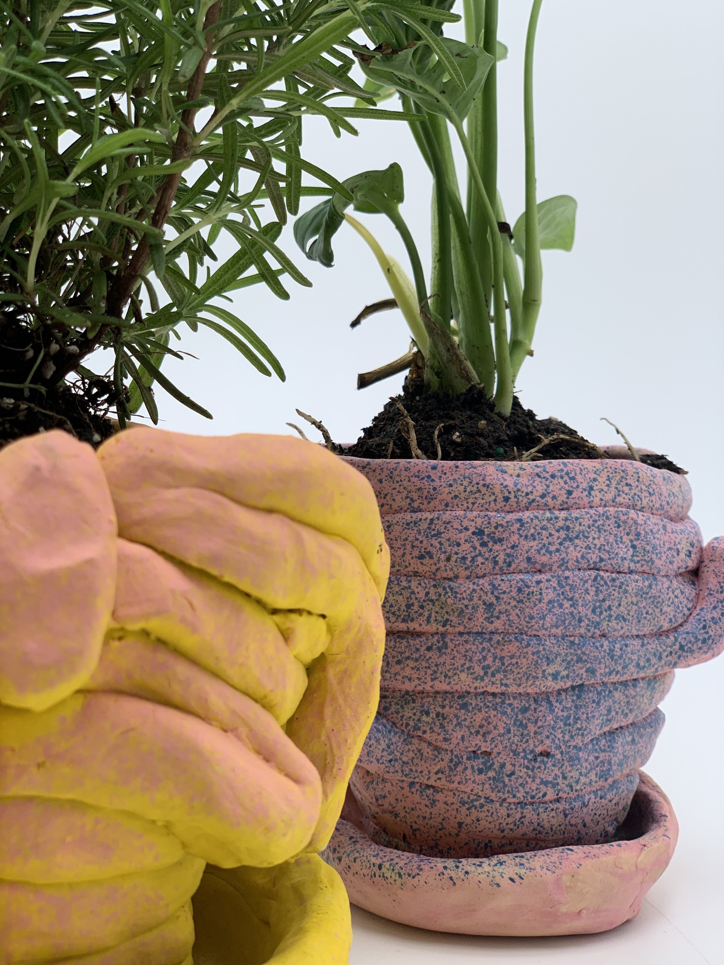Pots for Plants | 2 Hour Evening Workshops