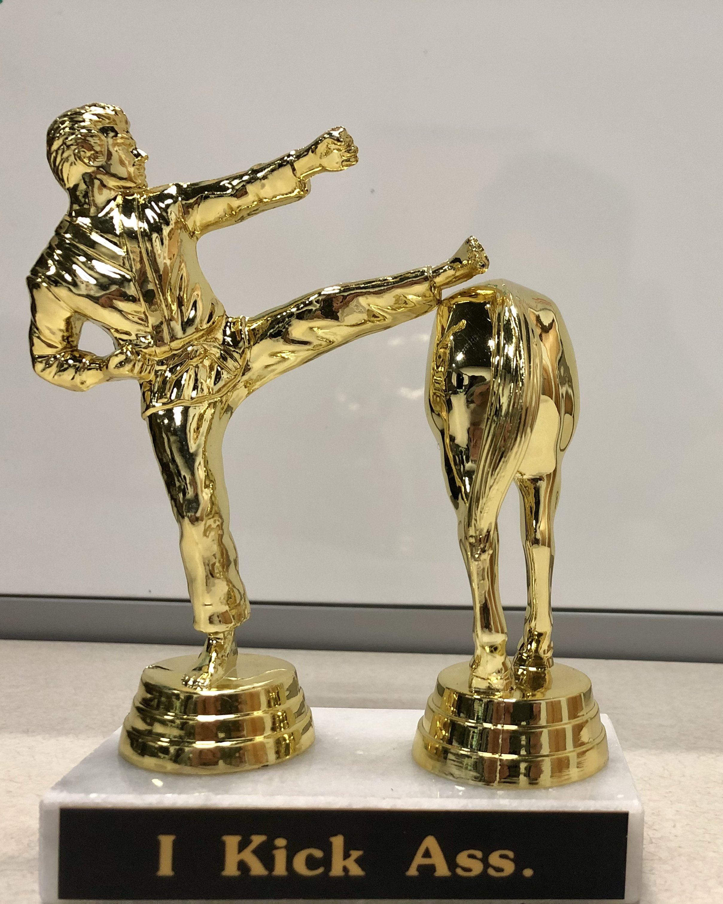 Revenue Media Group's marketing firm award, to be awarded to employee who shows exceptional professionalism and dedication to National and Vegas-based clients in the month prior. Employees are awarded by team members based on specialized marketing s