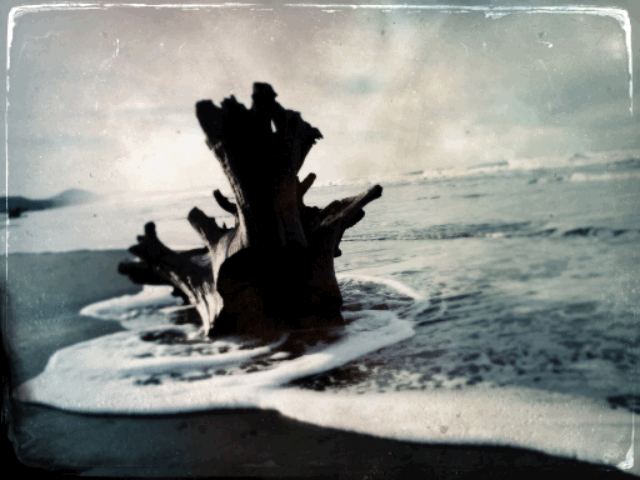 D8BB371F-61E7-4DEE-BC40-6166C63A7D99-836-00000026E961320B.gif