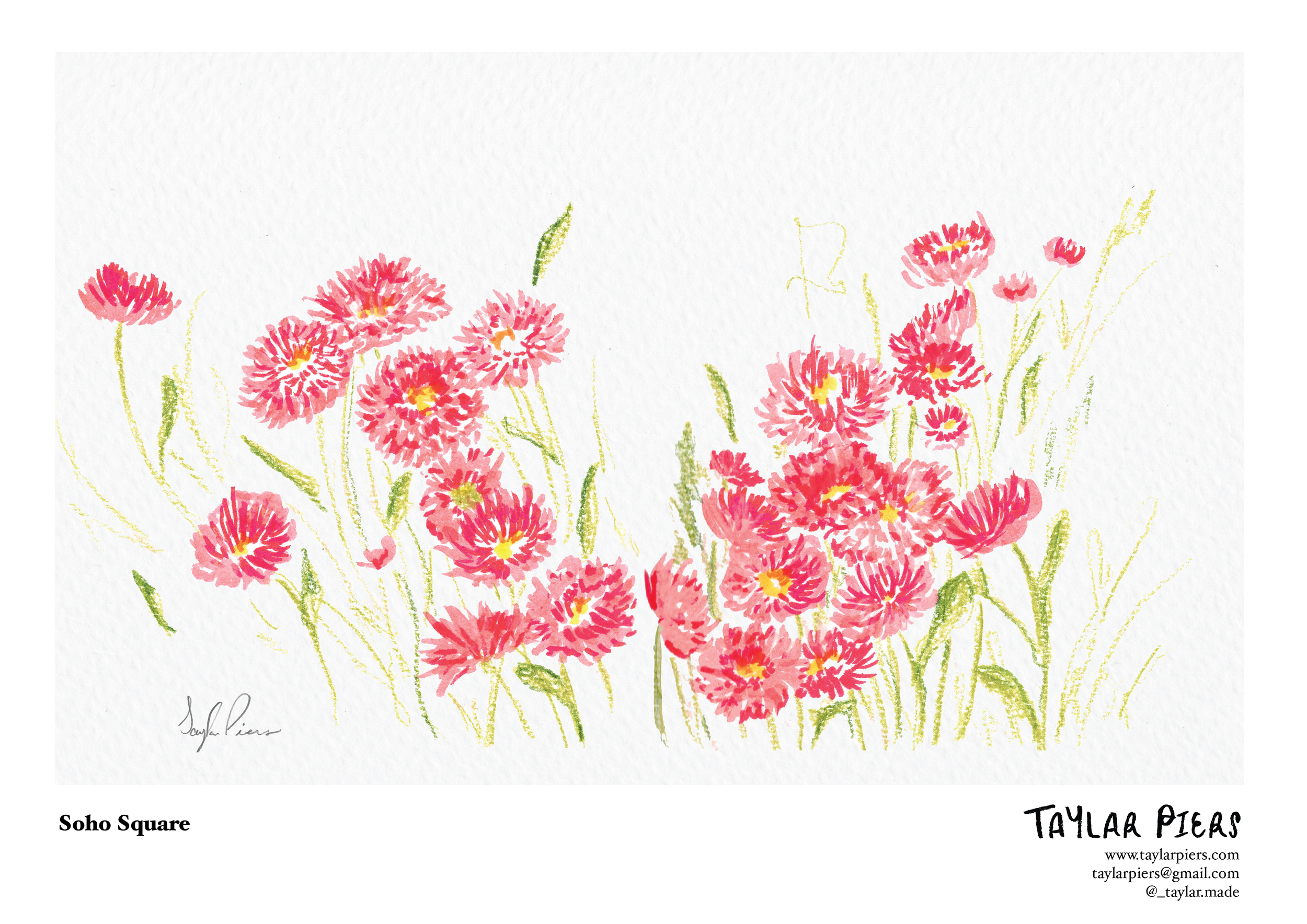 SohoSquare_SellSheet_Illustration_by_Taylar_Piers.png