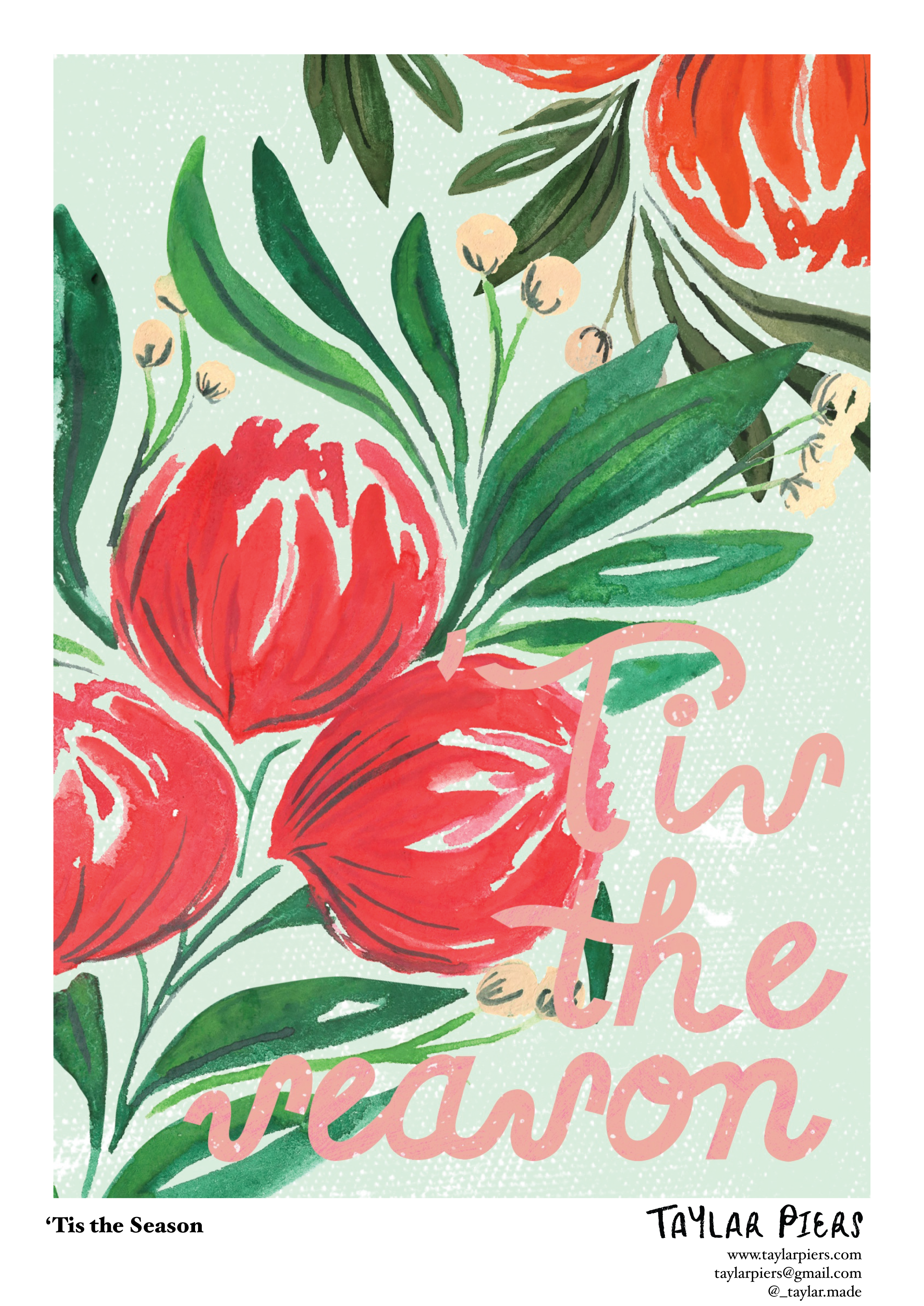 Tis_the_Season_Greeting_Card_Illustration_Sellsheet_by_Taylar_Piers.png