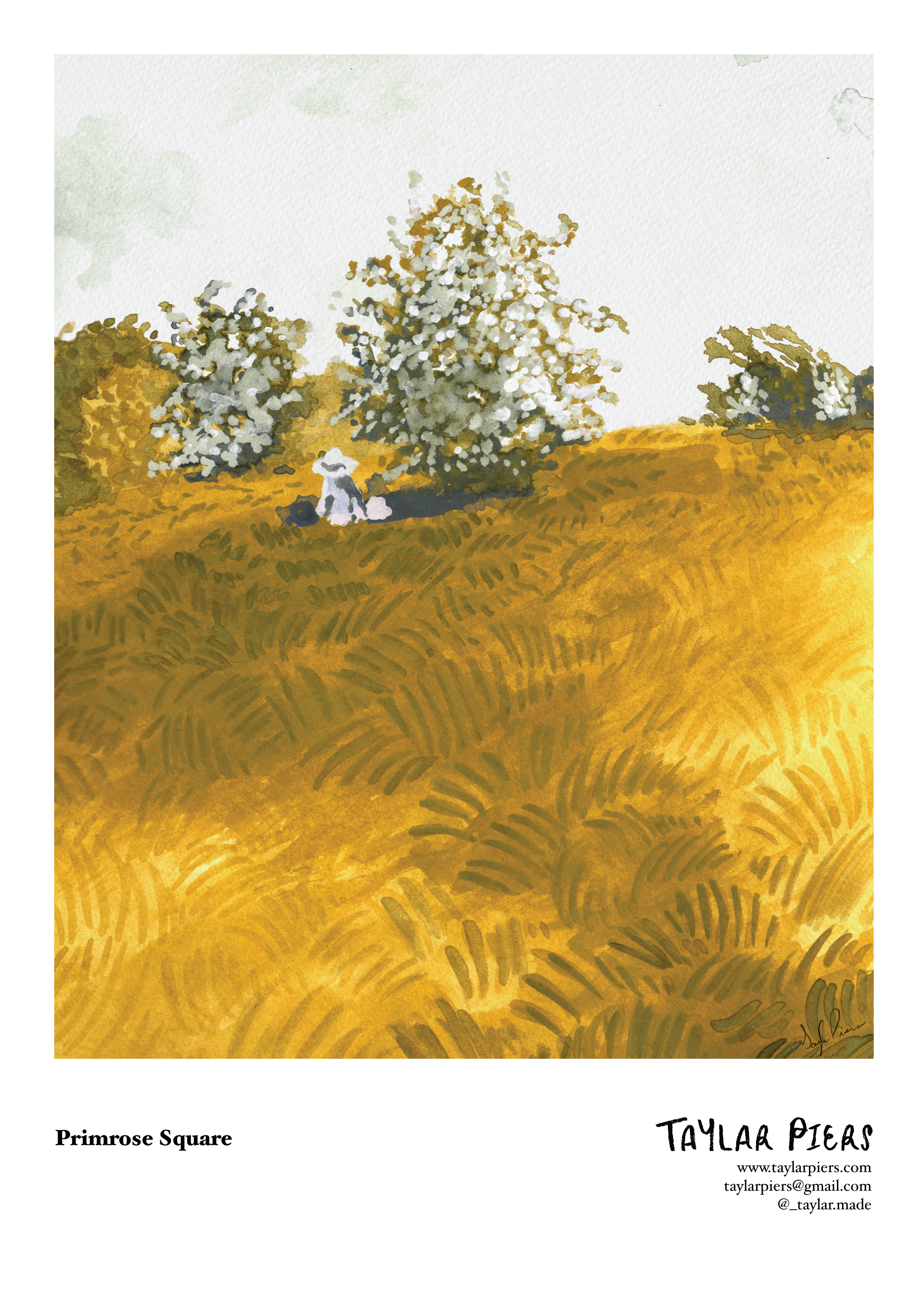 PrimroseSquare_SellSheet_Illustration_by_TaylarPiers.png