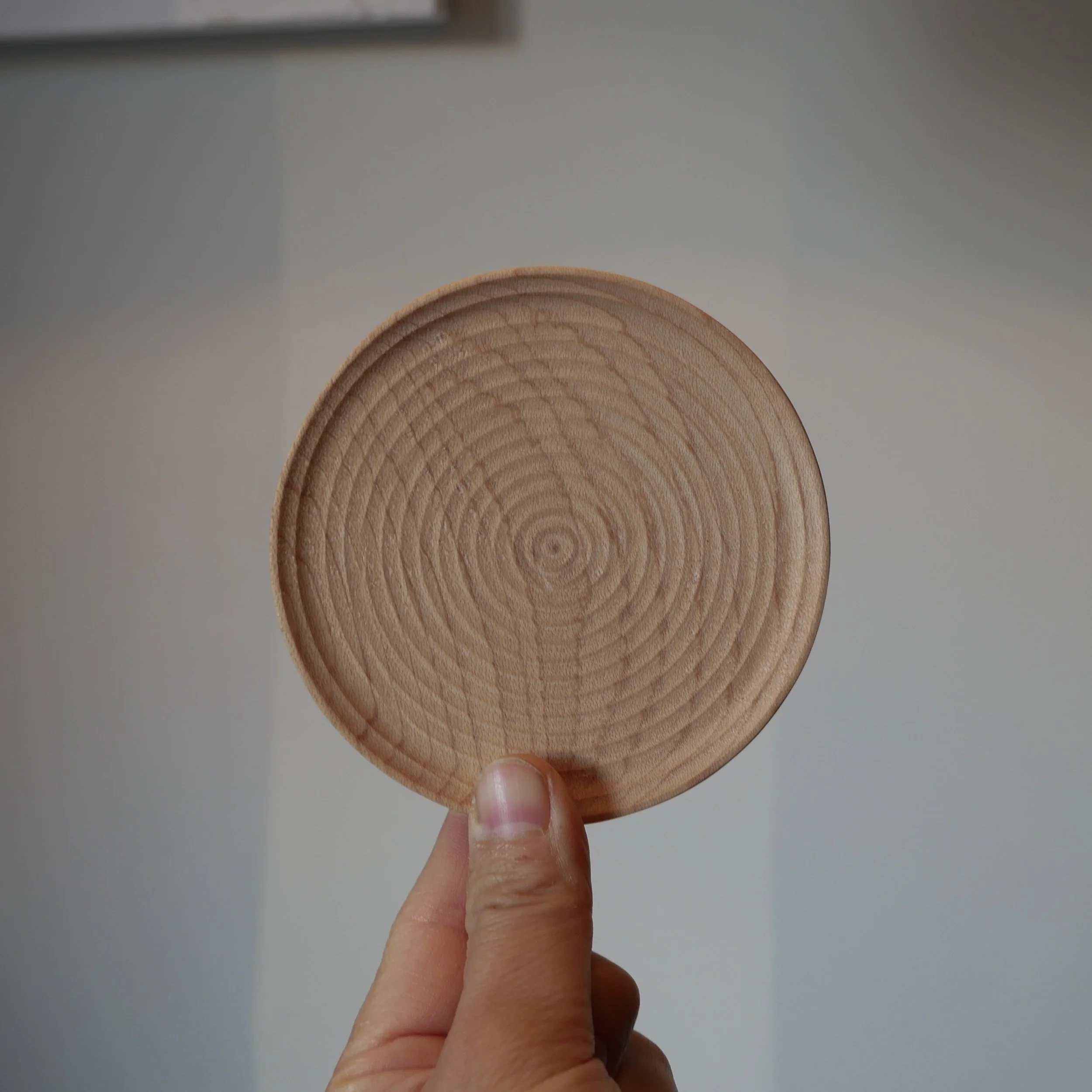 Ripple_Dish-Mini_After-5-Furnished-2.jpg