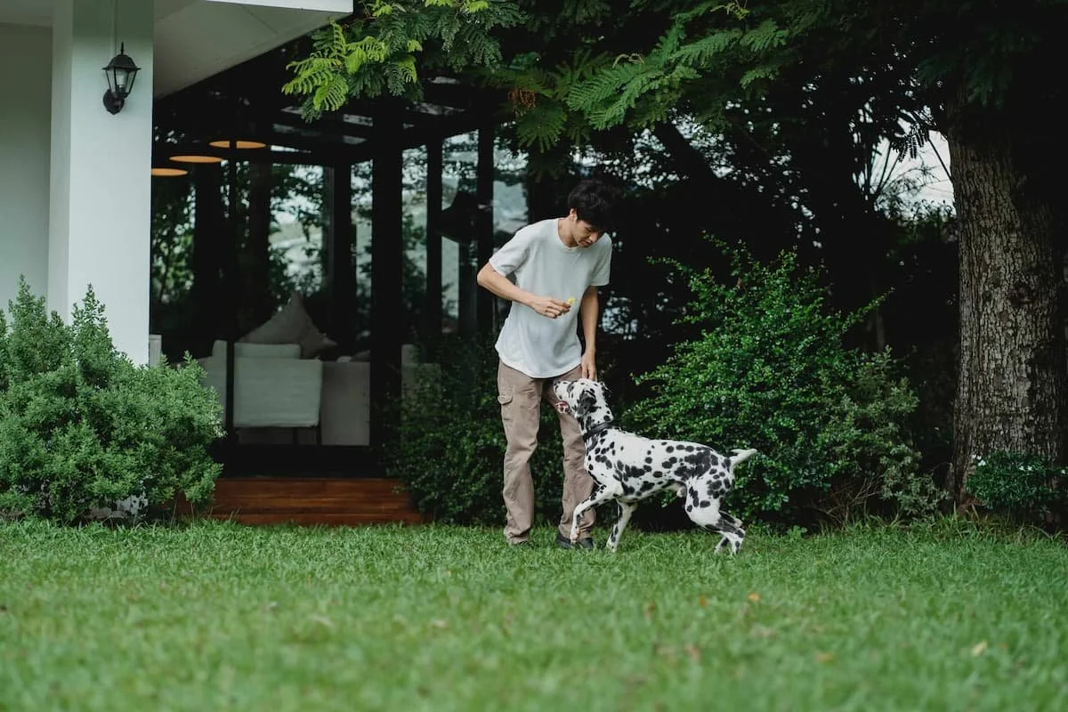 man outside his house playing with dog in backyard