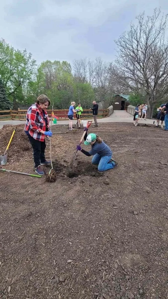 Voyage Team Members planting trees at the Great Plains Zoo in SIoux Falls, SD.