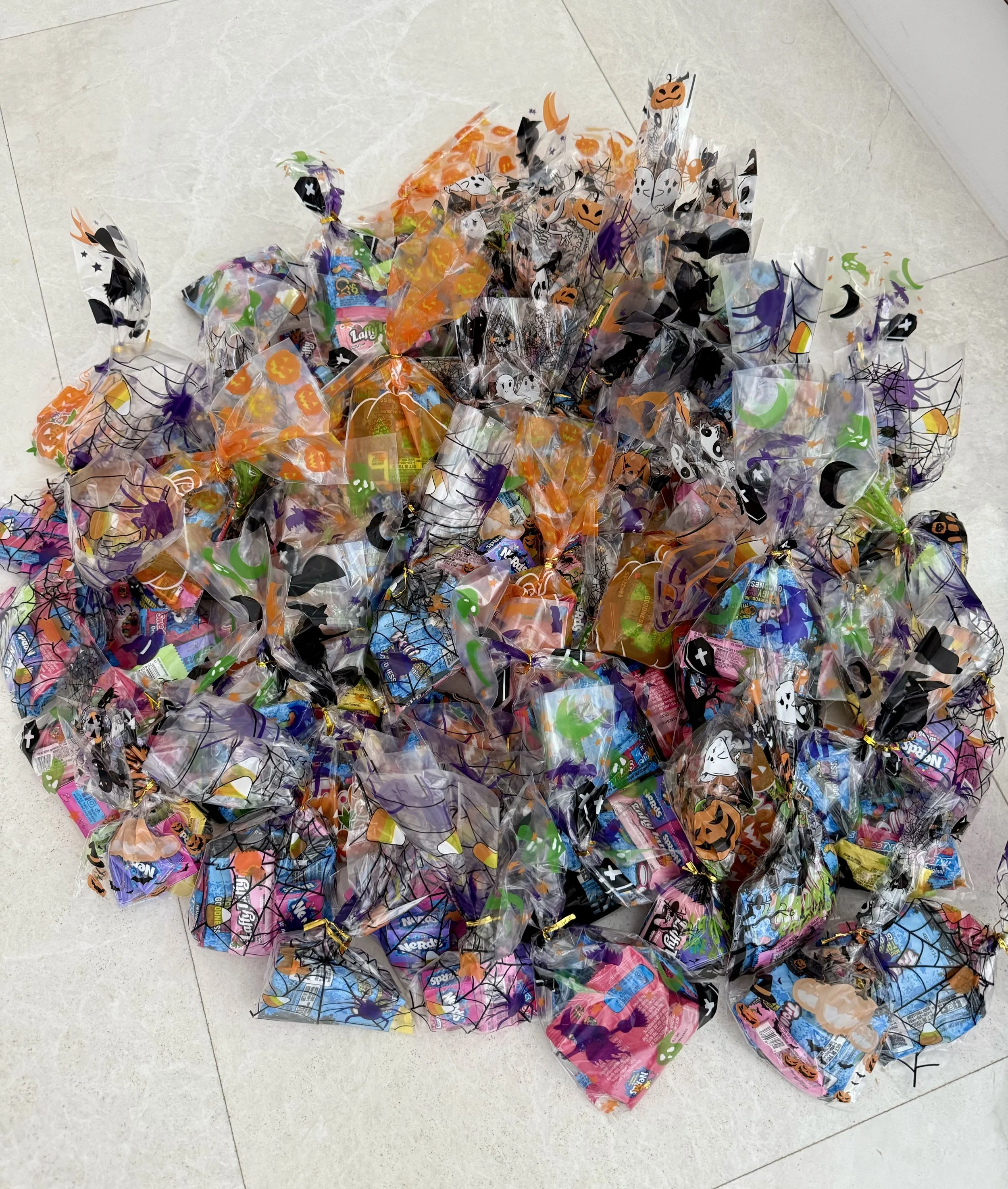 Tricks, Not Treats: Olympic Heights High School Lions Chapter Pack 70 Goodie Bags to Spread Halloween Cheer