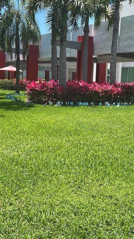 FAU Students Plant Pinwheel Garden for Child Abuse Prevention: A Symbol of Hope and Joy for Every Child