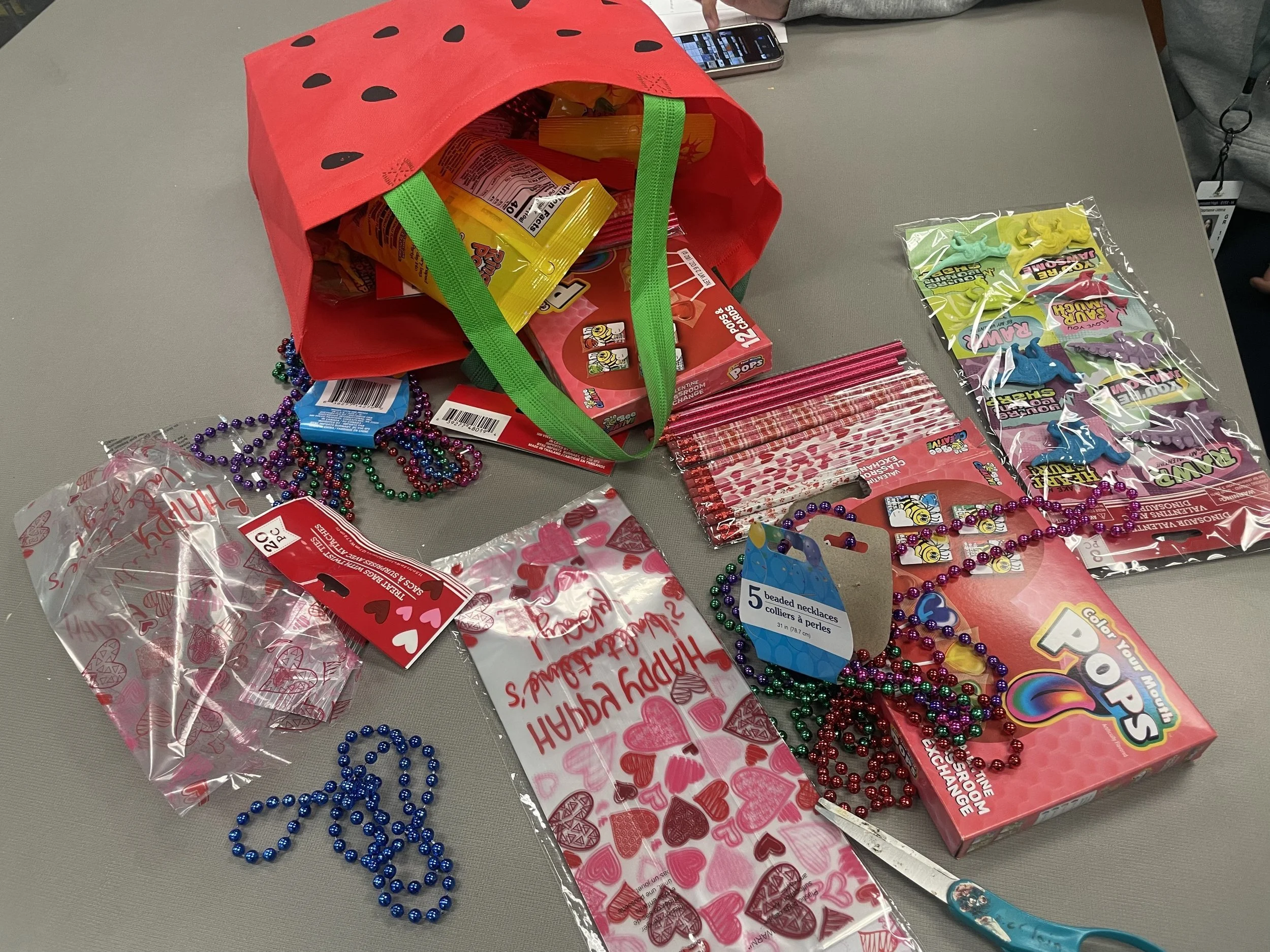 Suncoast STUDENTS Pack ‘Smile for Goodies’ Bags: Spreading Joy to Foster Kids