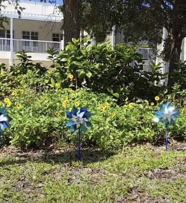Atlantic Eagles Chapter Raises Awareness with CAP Pinwheel Garden and Flyers