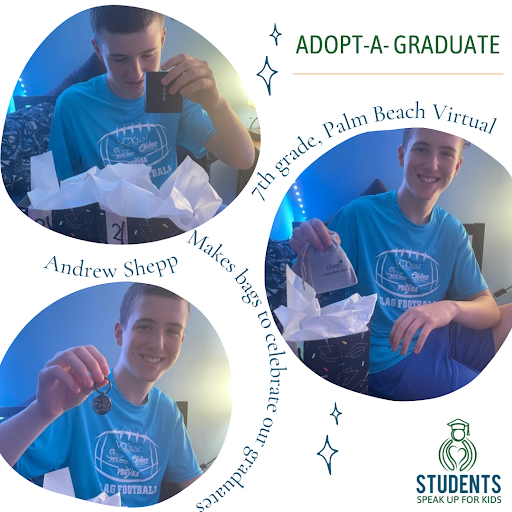 Palm Beach Virtual 