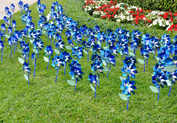 Plant a Pinwheel Garden 