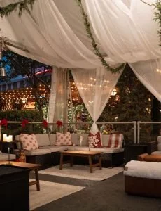 Speak Up for Kids Featured in THE BEN’s Winter Tree Forest!