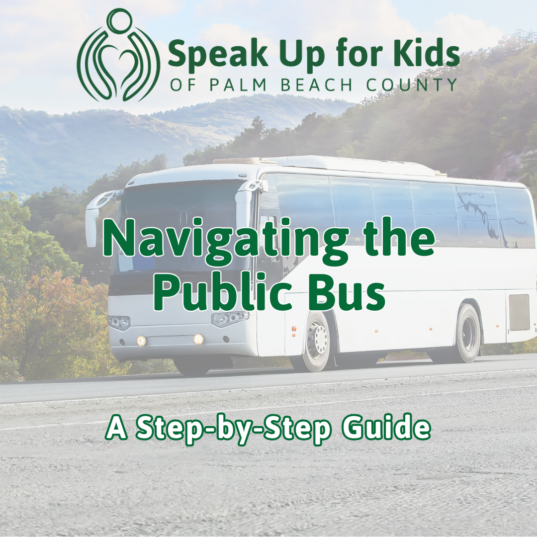 The Public Bus: A Step-by-Step Guide to Help Beginners Navigate the Bus System