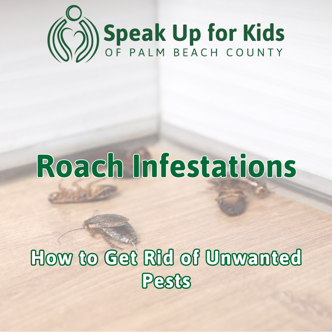 Goodbye Roaches: A Young Adult’s Guide to Having a Pest Free Home