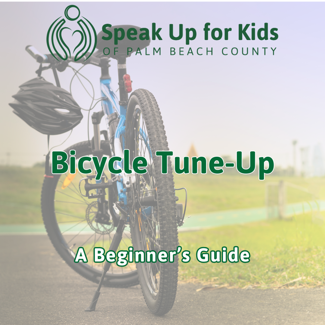 Bicycle Tune-Up:  A Beginner’s Guide to Basic Bike Maintenance
