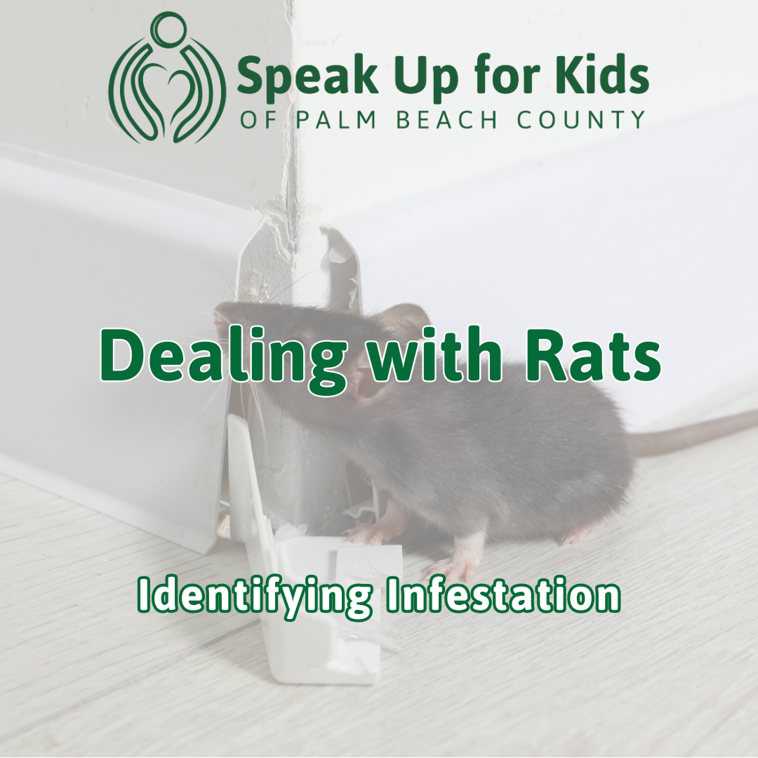 Dealing with Rats