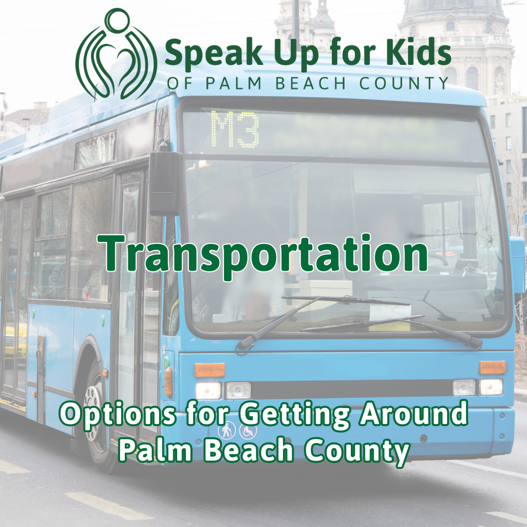 Transportation Options: Exploring Options for Getting Around Town