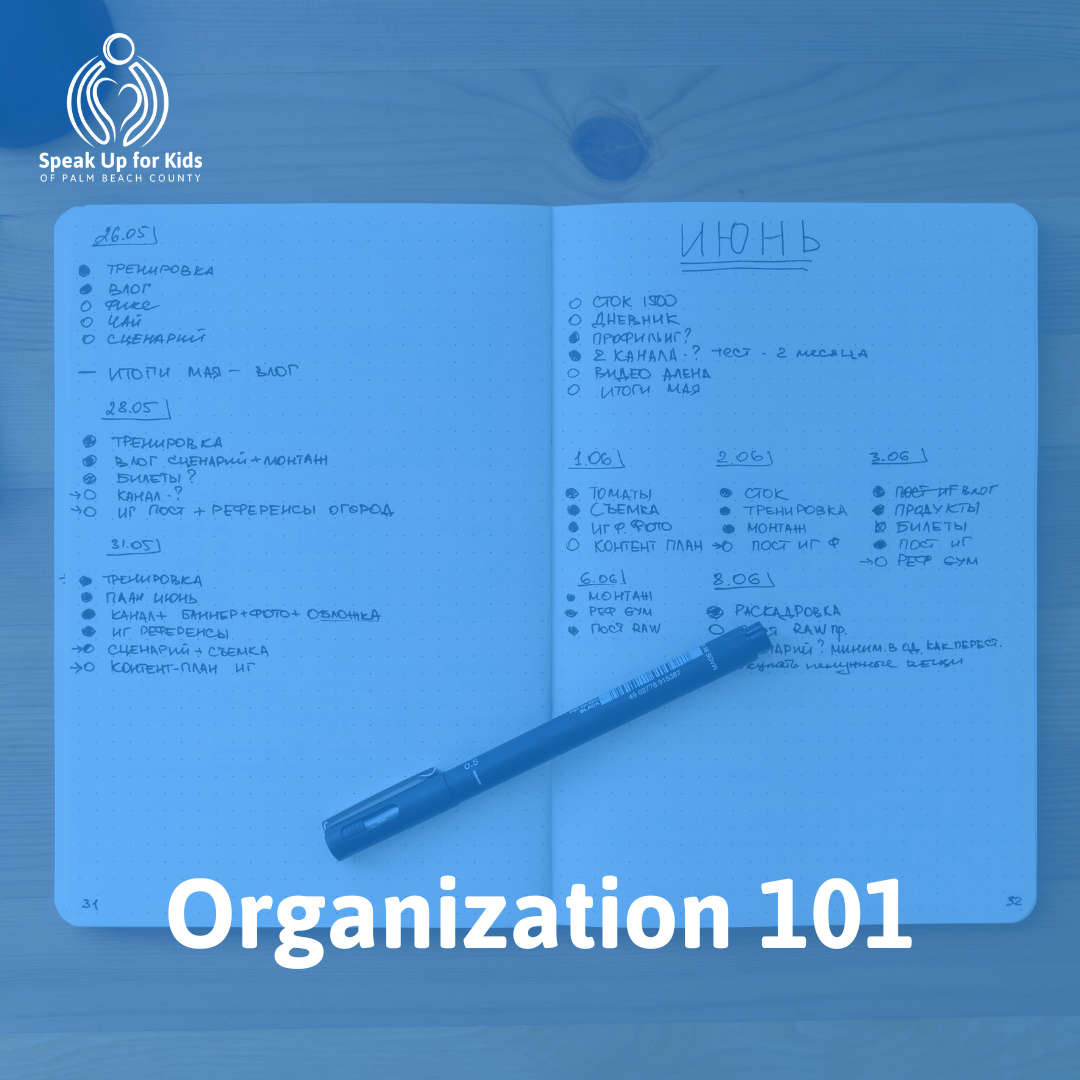 Organization 101