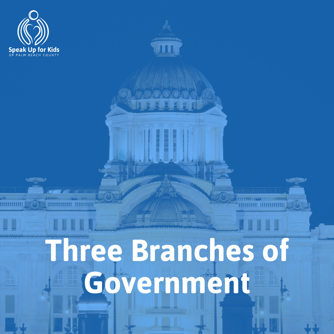 The Three Branches of Government